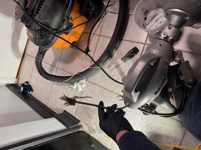 Bathtub Drain Cleaning in Woodridge, IL